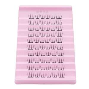 DG022 Cluster Lashes