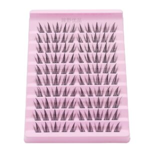 DG025 Cluster Lashes