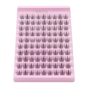DG028 Cluster Lashes