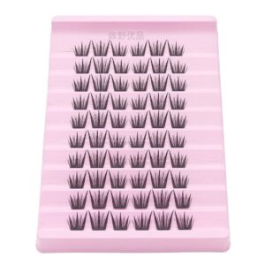 DG034 Cluster Lashes