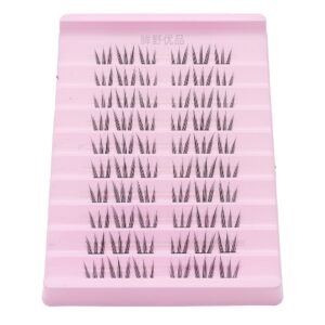 DG043 Cluster Lashes