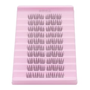 DG044 Cluster Lashes