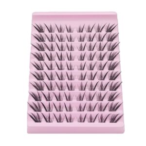 DG079 Cluster Lashes
