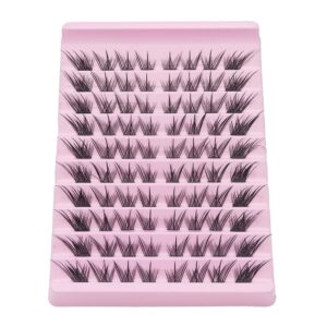 DG086 Cluster Lashes