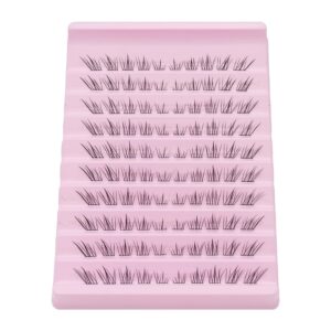 DG093 Cluster Lashes